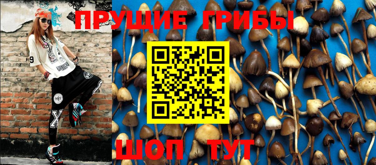 Галлюциногенные грибы прущие грибы Калач-на-Дону