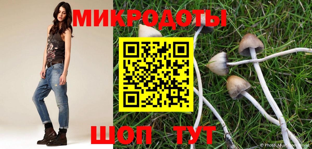 Галлюциногенные грибы ЛСД  Вход с VPN  купить наркоту  Калач-на-Дону 